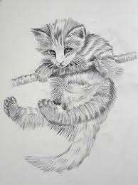 Kedi Portre Resim Sanat Karakalem Cizim Egitimleri Cizimler Drawing