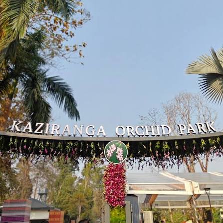 Morning Jeep Safari & Move to Shillong