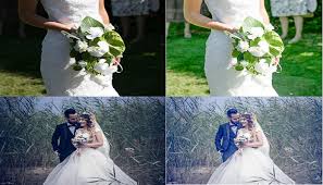 How to edit cyan blue leaf color grading effect|ph. Lightroom Presets For Wedding Photos The Major 8 Reasons That