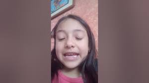 Como hacer camitas para animales 🐱🐶