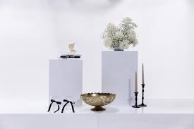 Image result for Plinthus