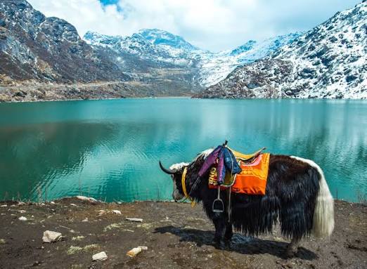 Sikkim Serenity: A Journey to the Majestic Land of Mountains and Monasteries - Maahi Holidays & Events