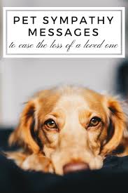Sympathy Messages For The Loss Of A Pet Losing A Pet Dog Death Pet Condolences Dogs