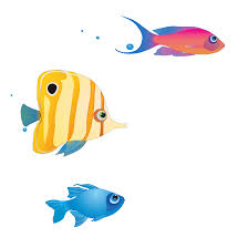 Download Gif Transparent Fish Png Gif Base Fishes fan club 924 wallpapers 64 art 623 images 163 avatars 499 gifs 201 covers. download gif transparent fish png