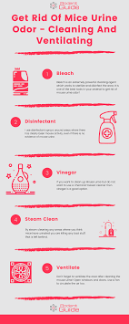 Once you notice that the smell is mostly gone, add something fragrant to the water pot in the oven. How To Get Rid Of Mice Urine Odor Today Diy Rodent Control