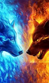 Https Encrypted Tbn0 Gstatic Com Images Q Tbn And9gcr7ui5gb6zo79ly3x0ebsozdy1opyuox3cqja Usqp Cau