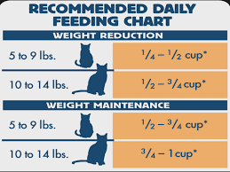 Blue Weight Control Dry Cat Food Chicken How Much Should