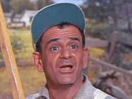 Green Acres" A Home Isn't Built in a Day (TV Episode 1966)