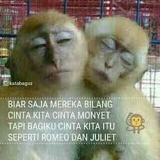 Banyak pujangga, filsuf, dan teori sains mendefinisikan arti cinta. Cinta Monyet Home Facebook