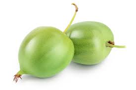 Image result for foto minikiwi