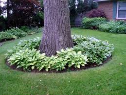 15 Beautiful Ideas For Decorating The Landscape Around The Trees Landscapetrees Small Front Yard Landscaping Large Yard Landscaping Landscaping Around Trees