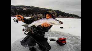 Fishing guides live and breathe eagle mountain lake, and they know when and where your catch of the day is. Ice Fishing Kokanee Monte Lake Bc With Tungsten Jigs Youtube