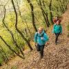 The eifel nationalpark in western germany. Https Encrypted Tbn0 Gstatic Com Images Q Tbn And9gcqfvfb6nens Ibpvttruo5gjpdhulccbszp3r80jkcjl0y Wqyp Usqp Cau