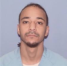 ᐅ Illinois Criminal Records 2009-2026