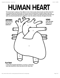 Human body systems coloring pages are a fun way for kids of all ages to develop creativity focus motor skills and color recognition. Anatomy Coloring Book Heart Novocom Top