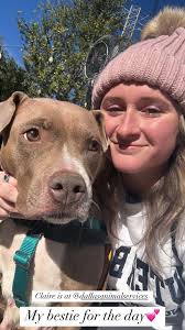 Hi, my name is Sadie, I am a twelve to fourteen year old mixed breed rescue  that came form a shelter in Tennessee. I had at least one litter of pups and