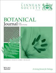 Image result for Rytigynia monantha