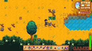 Which Should I Choose : R/Stardewvalley