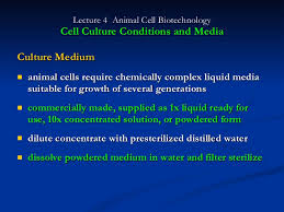 Check spelling or type a new query. Lecture 4b Culture Conditions And Media