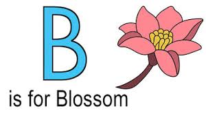 Be a mystery or bewildering to · baleful. Words That Start With B For Kids