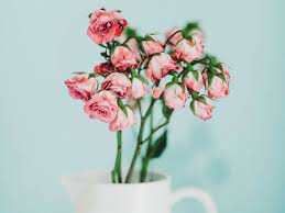 Shipping, since it wilts if out of water. Which Cut Flowers Last Longest Dengarden