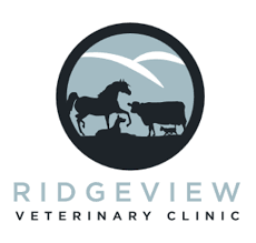 Maybe you would like to learn more about one of these? Ridgeview Veterinary Clinic Veterinarian In Derry Pa Us