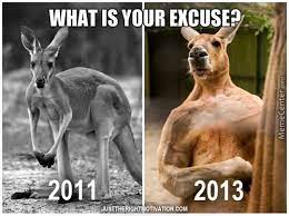 45 Most Funny Kangaroo Meme Photos And Images