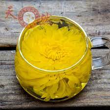 Chrysanthemum Tea Fresh Flowers For Wholesale In Singapore Top Grade With Best Aroma Color And Taste