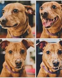 Karen Gros's Instagram, Twitter & Facebook