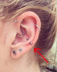 Snug Piercing Ear Piercing For Women Cool Ear Piercings Cool Piercings