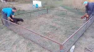 Simply put, it means making changes to your dog's environment in order to keep your dogs away from the stimuli that stress them. Inside The Illegal World Of Organised Dogfighting Bbc News