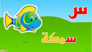 اسم حيوان بحرف السين موقع المحيط