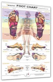 reflexology foot chart by balancing touch foot reflexology