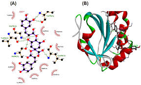 Image result for Pseudoconyza viscosa