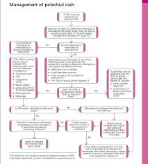 more than a spot check quality standards in meningococcal