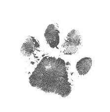 4.5 out of 5 stars. Heartbroken Dog Paw Tattoo Cat Paw Print Tattoo Paw Print Drawing