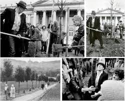 La Plantacion De Arboles De Josef Beuys En La Documenta De Kassel Download Scientific Diagram
