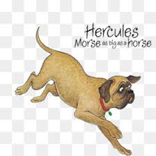 With free printable and basic coloring pages! Book Black And White