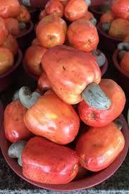 Image result for Anacardium