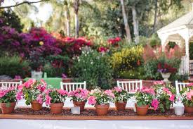 We did not find results for: Cultivating A Mature Garden Cottage Style Decorating Renovating And Entertaining Ideas For Indoors And Out