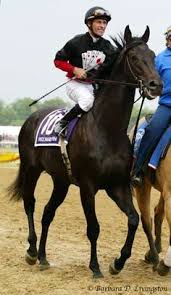 Aug 23, 2020 · jan 2021: 160 Jockey Hall Of Fame Ideas In 2021 Horse Racing Thoroughbred Horses