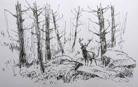 croquis en foret dessin paysage lettre i feuilles de coloriage