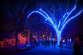 Denver Zoo Christmas Lights 2010 Zoo Lights Christmas Lights Denver Zoo