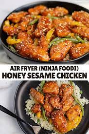 Pin On Ninja Foodi Recipes