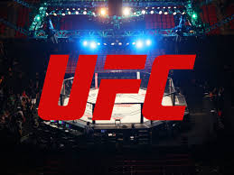 Ultimate fighting championship (ufc) is one of the most popular fighting competitions globally. Bleeding Cool S Ufc Fighter Rankings For May 2021 Usman Is The Man