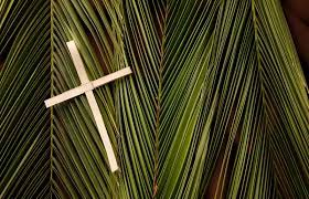 Palm sunday is a christian festival. Palm Sunday For Children Lovetoknow