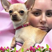 Animal Protection Agency