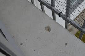 Brister i lägenhet: ”Vi blir inte tagna på allvar”