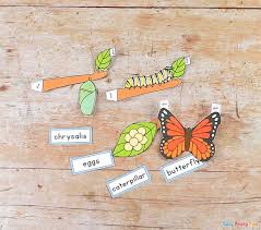 3d Butterfly Life Cycle Craft Easy Peasy And Fun 8 best images of 3d butterfly cutouts. 3d butterfly life cycle craft easy
