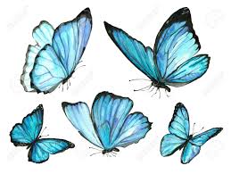 We did not find results for: Collection Of Watercolor Images Of Beautiful Butterflies A Set Stock Photo Picture And Royalty Free Image Image 93778356
